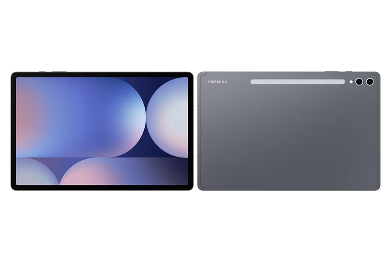 Samsung Galaxy Tab S10 Plus Moonstone Gray